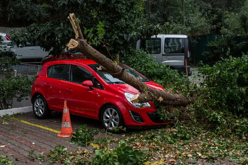 What Is a Statutory Write-Off, and What Are Your Options?